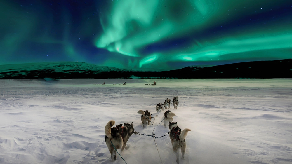 Chasing the Northern Lights: Arctic Escapade